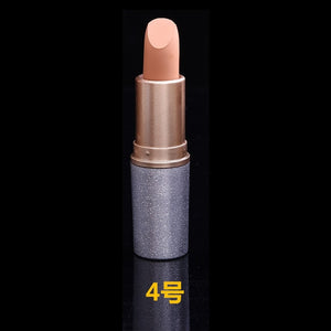 Waterproof Bullet Lip Gloss Makeup Lipstick - Our Beauty Bar