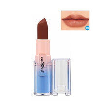 Load image into Gallery viewer, Professional Matte Makeup Sexy Nude Lip Stick - Our Beauty Bar