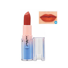 Load image into Gallery viewer, Professional Matte Makeup Sexy Nude Lip Stick - Our Beauty Bar